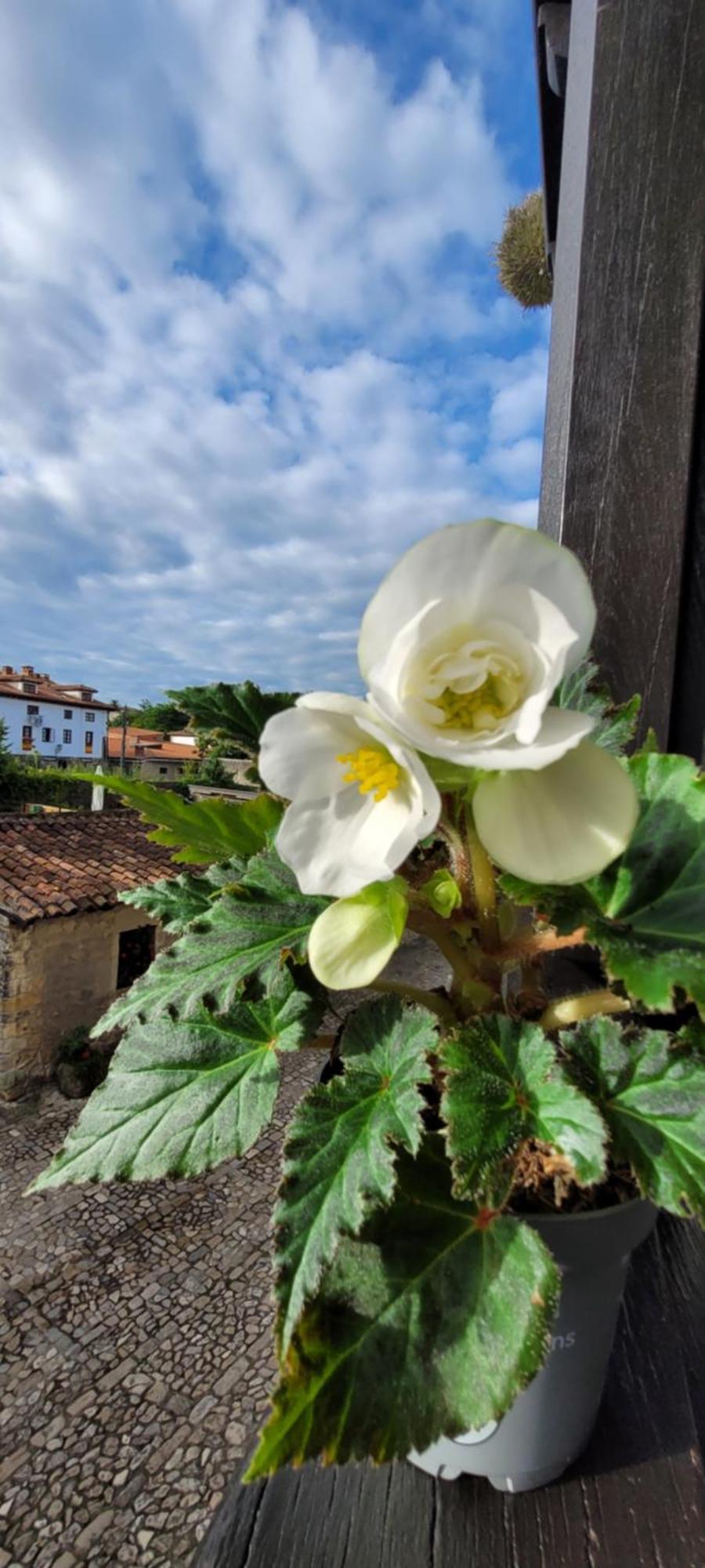 Casa Del Lavadero Lejlighed Santillana del Mar Eksteriør billede